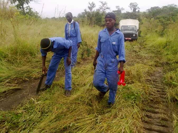Crew laying a spread in long grass